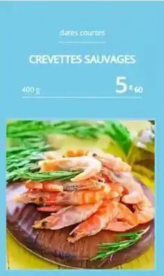 Crevettes sauvages