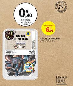 MOULES DE BOUCHOT