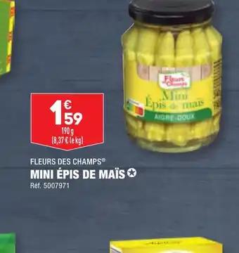 MINI ÉPIS DE MAÏS