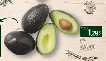 Avocat