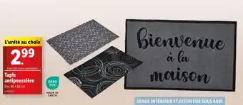 Tapis antipoussière