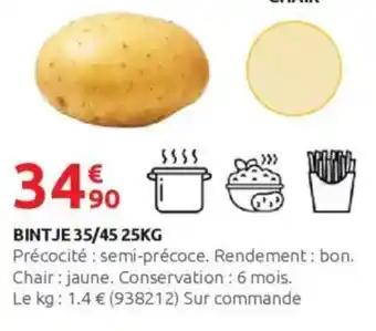 Bintje 35/45 25 kg