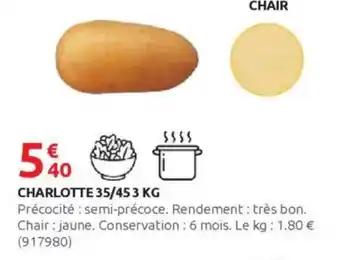 Charlotte 35/453 kg