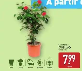 GARDENLINE® Camélia