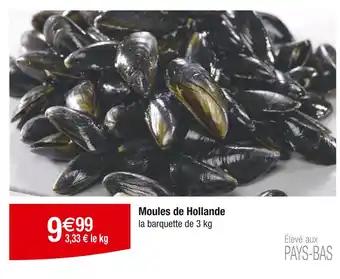 Moules de Hollande