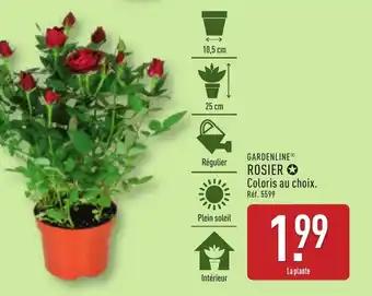 GARDENLINE® Rosier