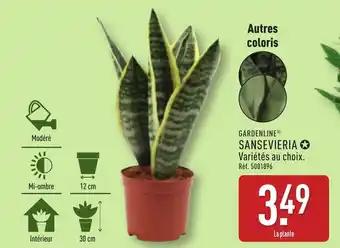 GARDENLINE® Sansevieria