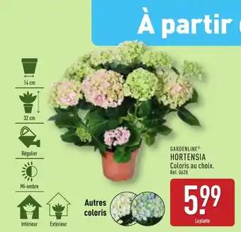 GARDENLINE® Hortensia