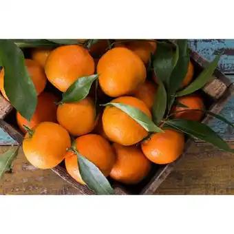 Mandarine feuille