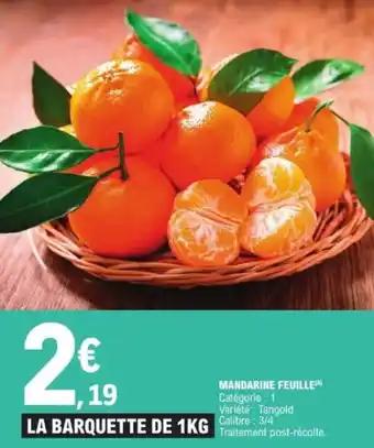 Mandarine feuille