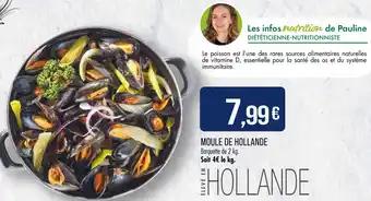 Moule de Hollande