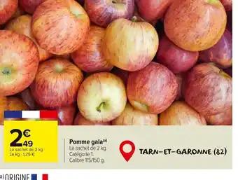 Pomme gala