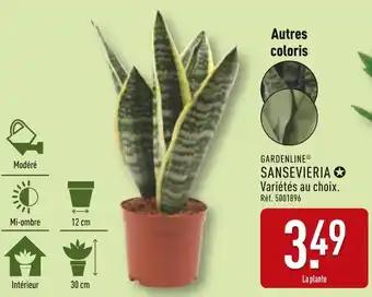 GARDENLINE Sansevieria