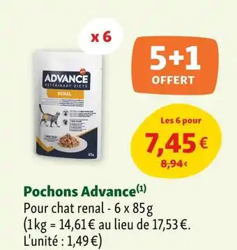 Advance Pochons