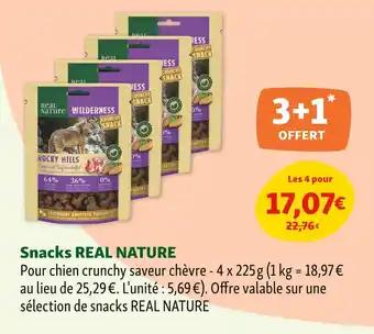 Real Nature Snacks