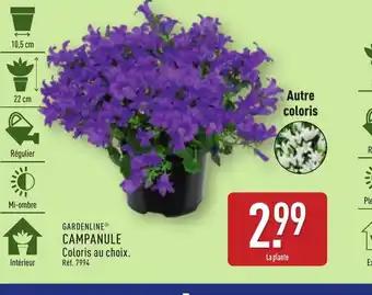 GARDENLINE Campanule