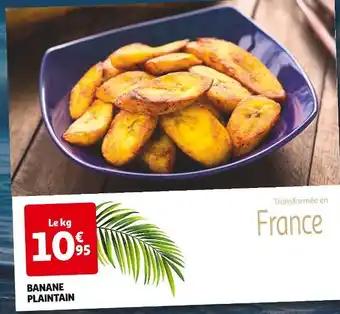 Banane Plantain