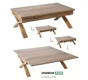 Sparrow