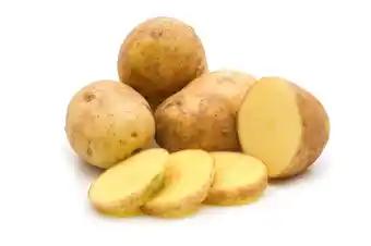 Pomme de terre BIO
