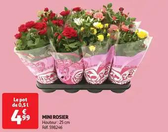 Mini rosier 0.5 L