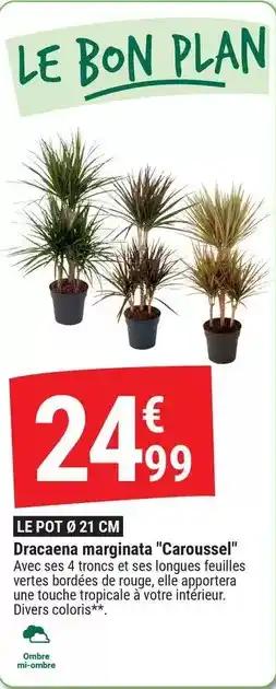 Le pot 9 21 cm