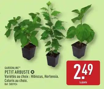 GARDENLINE® Petit arbuste