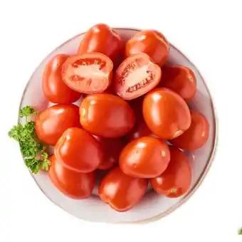Tomate SIMPL