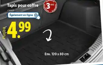 Tapis pour coffre