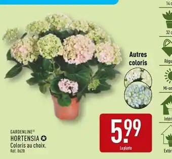 GARDENLINE Hortensia