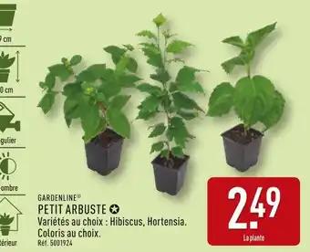 GARDENLINE Petit arbuste