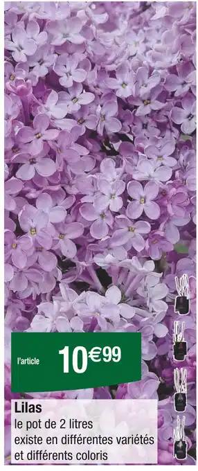 Lilas