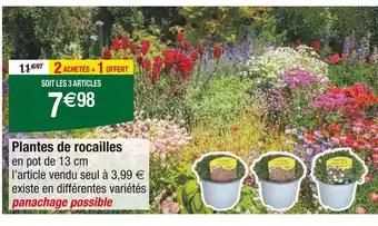 Plantes de rocailles