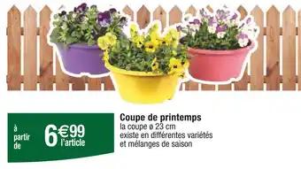 Coupe de printemps