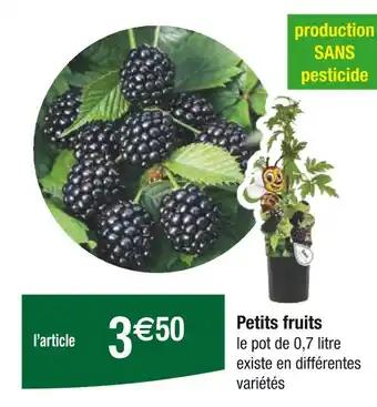 Petits fruits