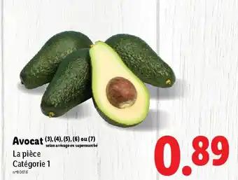 Avocat