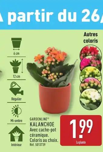 GARDENLINE® Kalanchoe