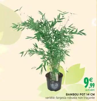 Bambou Pot 14 cm