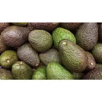 Avocat