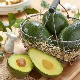Avocat
