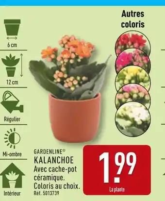 GARDENLINE Kalanchoe