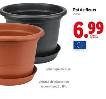Pot de fleurs