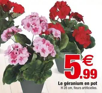 Le géranium en pot