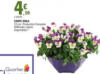 Coupe viola