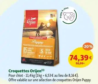 Croquettes Orijen