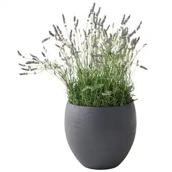 Pot Egg Graphit