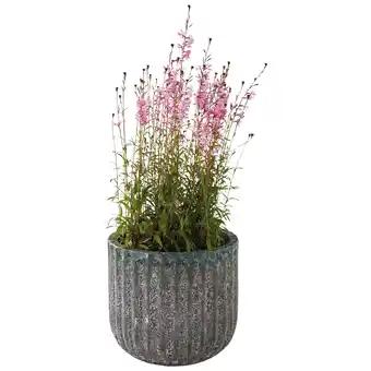 Pot Petra ECLOZ