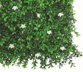 Mur végétal Jasmin