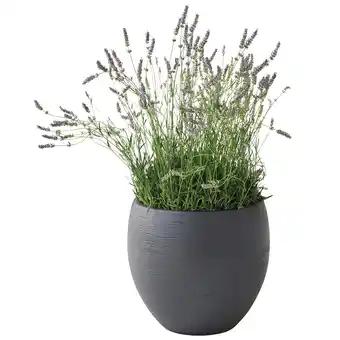 Pot Egg Graphit