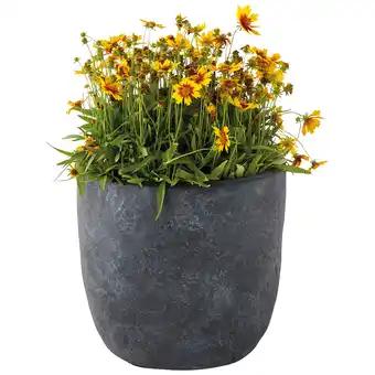 Pot Egg Arizona