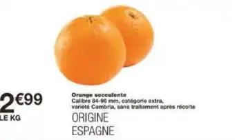 Orange socculente